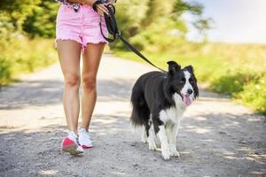 buik van vrouw wandelen met haar huisdier Bij vrije tijd foto