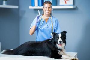 vrouw dierenarts vaccineren een hond in kliniek foto