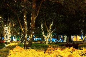 park met Kerstmis lichten en bloemen Bij nacht in queretaro Mexico foto