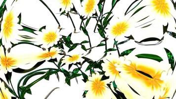 wit bloem botanisch 3d renderen foto