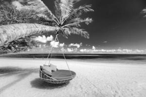 tropisch strand achtergrond net zo zomer landschap met strand schommel of hangmat en wit zand en kalmte zee voor strand spandoek. perfect strand tafereel vakantie en zomer vakantie concept. zwart en wit werkwijze foto