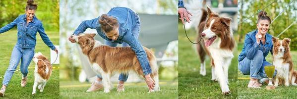 chocola wit grens collie met vrouw eigenaar foto