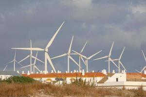 windmolens voor groente, niet-vervuilend energie generatoren foto