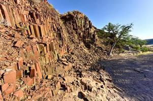 orgaan pijpen - twyfelfontein, damaraland, Namibië foto