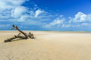 magaruque eiland - Mozambique foto