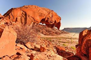 leeuw mond - twyfelfontein foto