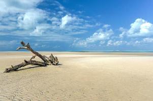 magaruque eiland - Mozambique foto