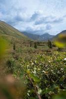 natuur landschap in Alaska foto