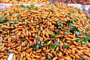 gekruid gebakken insecten straat voedsel is heel populair in Thailand. foto