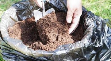 turf mos, kunstmest bodem voor biologisch landbouw, fabriek groeien, ecologie concept. foto