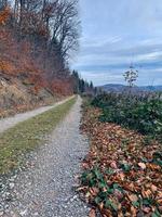 weg in bergen, herfst Woud, duitsland, herfst bladeren foto