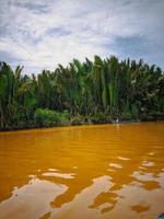 visie van de rivier- en groen vegetatie Aan de banken van de boot foto