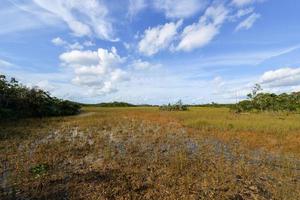 toneel- landschap Florida Everglades foto