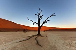 dood vlei, Namibië foto