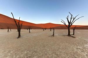 dood vlei, Namibië foto