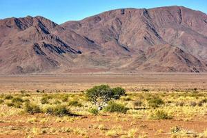 woestijn landschap - namibrand, Namibië foto