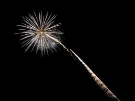 Coney Island Beach Vuurwerk foto