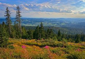 panoramisch visie Aan de Beiers Woud foto