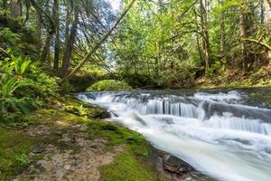 bruid waterval Aan Vancouver eiland foto