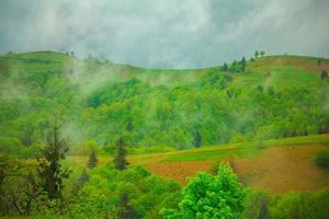 bewolkt groen berg landschap foto