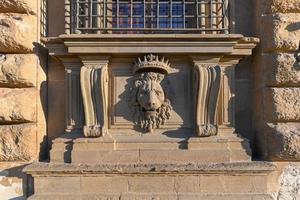 dichtbij omhoog leeuw stucwerk Bij palazzo pitti, de oud paleis van medici familie in Florence, Italië. foto