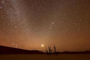 dood vlei, Namibië Bij schemer foto