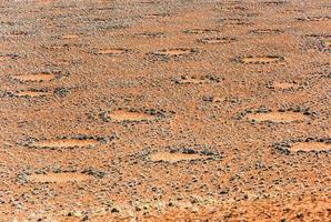 fee cirkels - Namibië foto