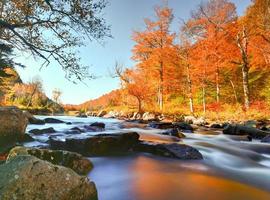 adirondacks vallen gebladerte, nieuw york foto