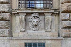 dichtbij omhoog leeuw stucwerk Bij palazzo pitti, de oud paleis van medici familie in Florence, Italië. foto