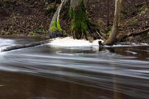 een klein Woud rivier- in lente foto