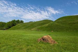 zomer landschappen in de Lets platteland foto