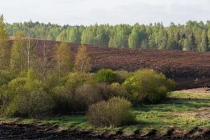 zomer landschappen in de Lets platteland foto