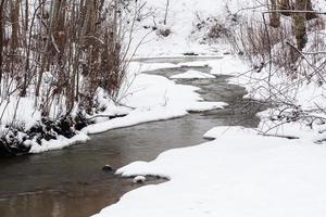 een klein rotsachtig Woud rivier- in winter foto