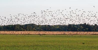 natuurlijk landschappen van de eiland van vormen foto