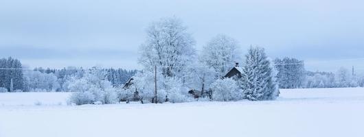 winter landschappen in Estland foto