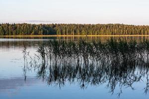 zomer landschappen in Letland foto