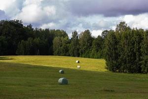 zomer landschappen in Letland foto