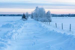 winter landschappen in Estland foto