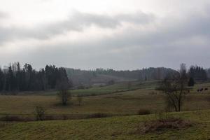 herfst landschappen in Letland foto