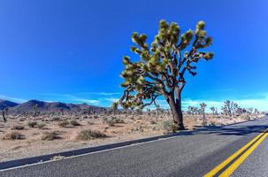 mooi landschap in Joshua boom nationaal park in Californië. foto