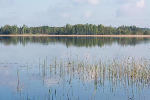 zomer landschappen in de Lets platteland foto