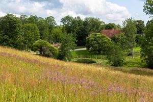 zomer landschappen in Letland foto