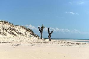 magaruque eiland - Mozambique foto