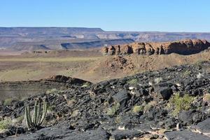 vis rivier- Ravijn -Namibië, Afrika foto