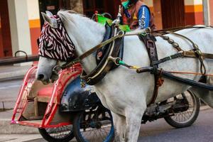 yogakarta, Indonesië Aan oktober 23, 2022. andong of door paarden getrokken vervoer met haar koetsier geparkeerd Aan jalan malioboro, aan het wachten voor passagiers. foto