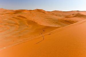 Sossusvlei-woestijn, Namibië foto