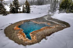 geiser in yellowstone nationaal park foto