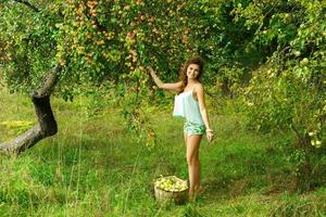 gelukkig vrouw in tuin gedurende een plukken appels foto