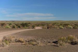 vis rivier- Ravijn -Namibië, Afrika foto