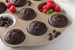 chocola muffins in een muffin pan met frambozen foto